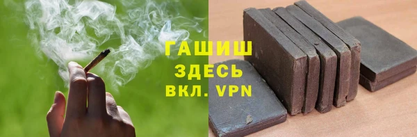 индика Богородск