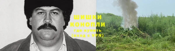 индика Богородск