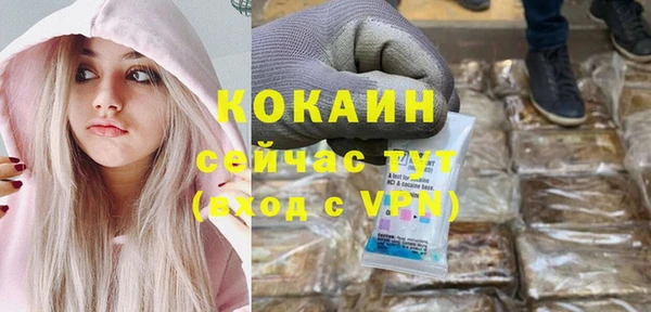 молекула духа Белокуриха