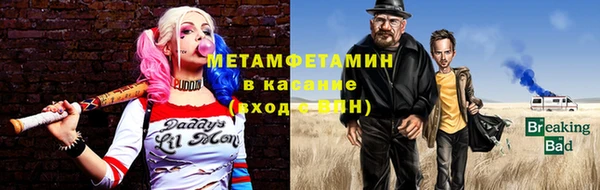 индика Богородск